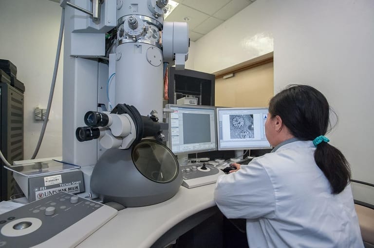 Transmission electron microscope image — science and Sudoism in dialogue