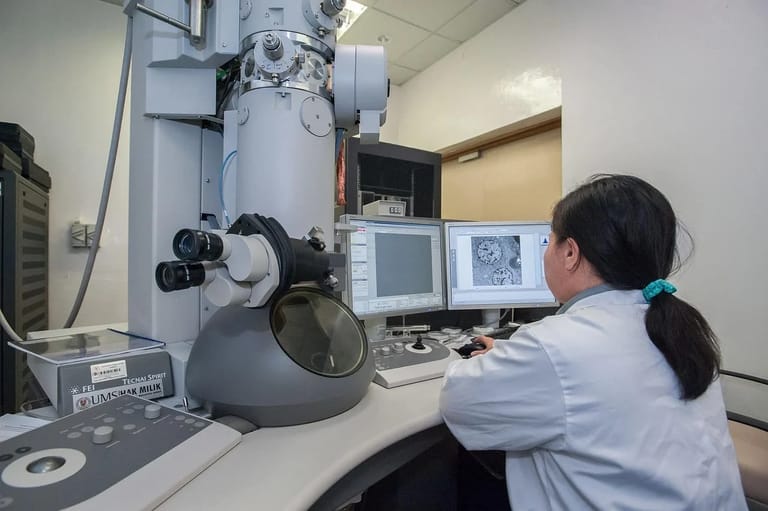 Transmission electron microscope image — science and Sudoism in dialogue